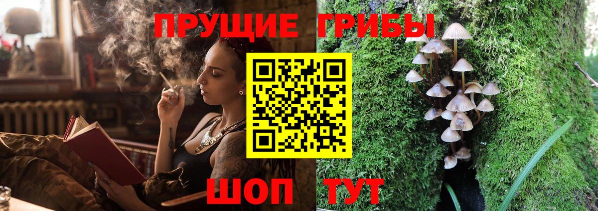Галлюциногенные грибы прущие грибы Полевской