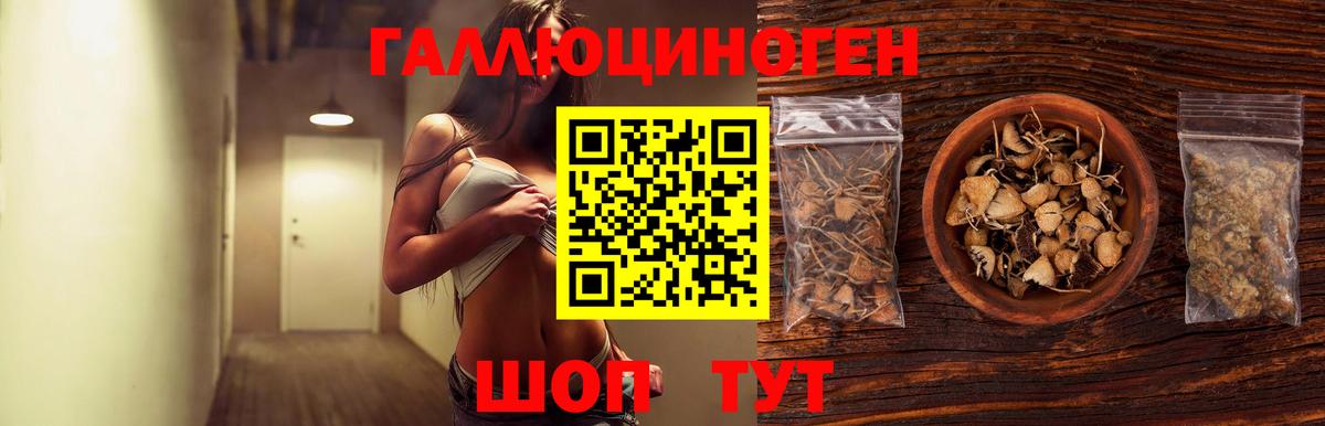 Псилоцибиновые грибы Psilocybe  Вход с VPN  Полевской 